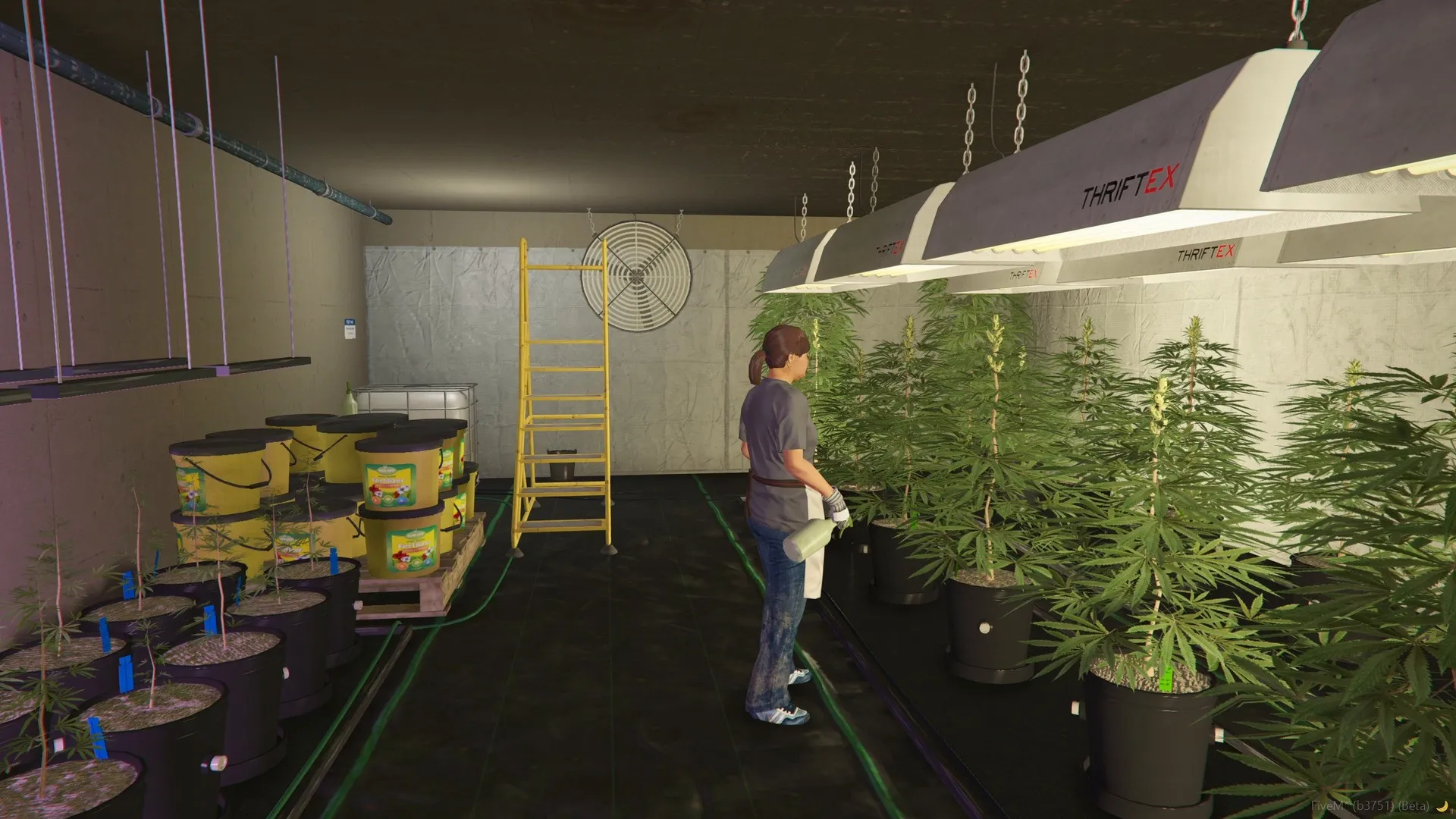 Weed setup, the hall: rows of potted plants under grow lamps, fertilizer buckets, a ladder and a big fan, and a grower with a spray bottle.